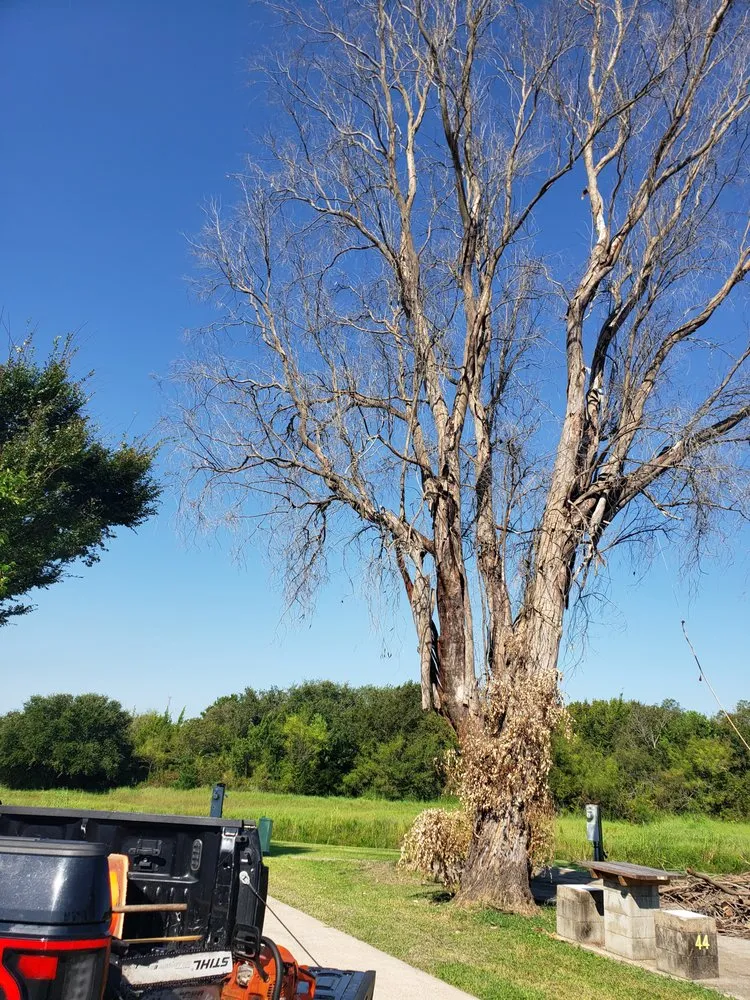 Expert landscaping services for beautiful yards across Mabelvale, AR - Garner Tree Service