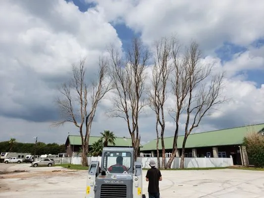 Garner Tree Service Logo