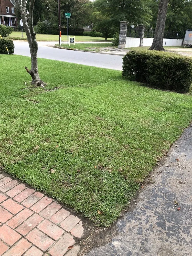 Professional yard maintenance experts serving Columbia, SC - Garner's Ferry Landscape Supply