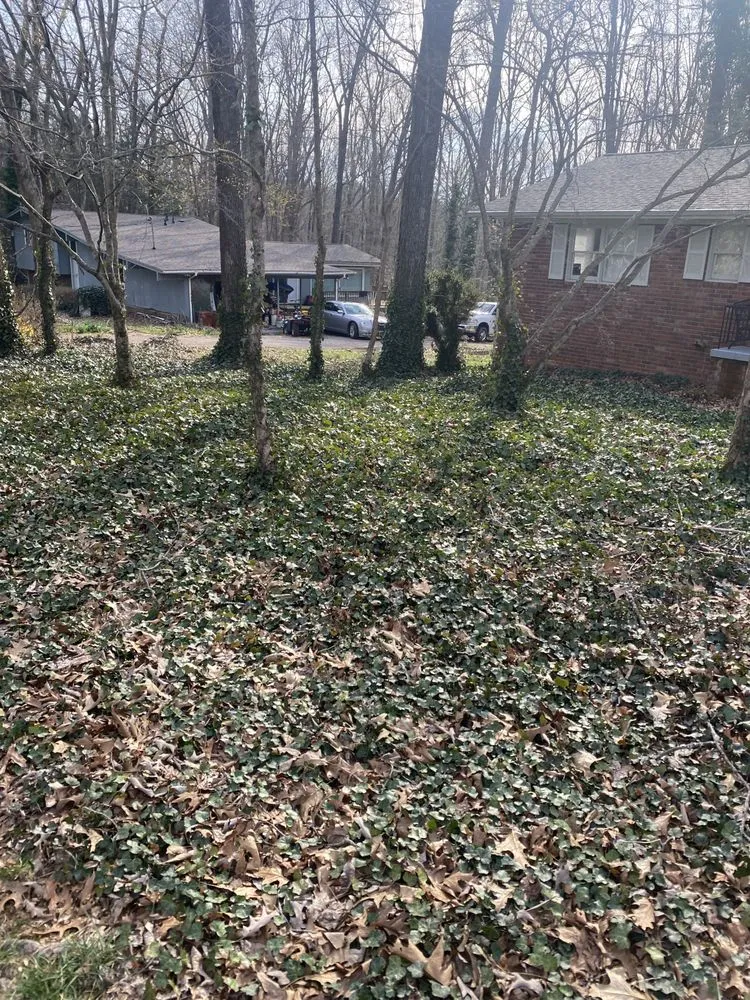 Local landscape installation experts serving Oak Ridge, TN - Garner’s landscape