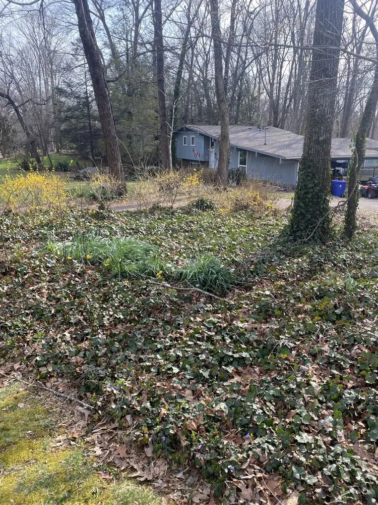 Custom lawn care service for residential properties across Oak Ridge, TN - Garner’s landscape