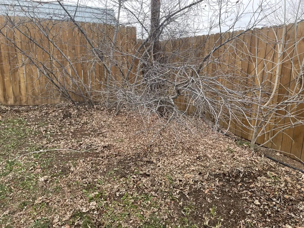 Local outdoor landscaping experts serving Arvada, CO - Garners Landscaping