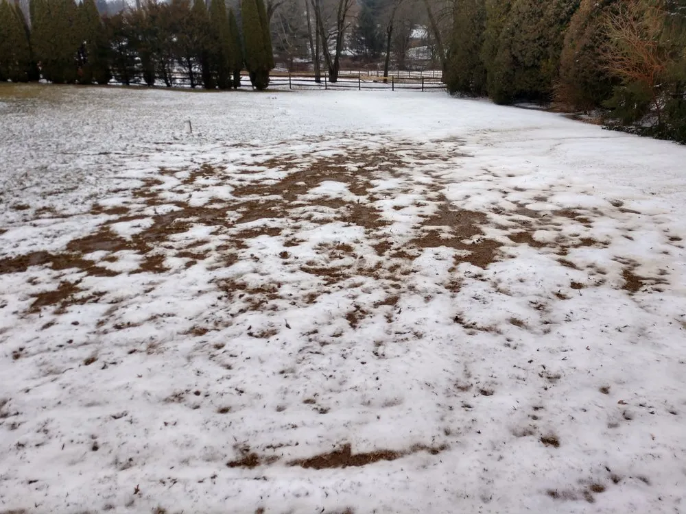 Local yard cleanup service experts serving Garnet Valley, PA - Garnet Valley Farms