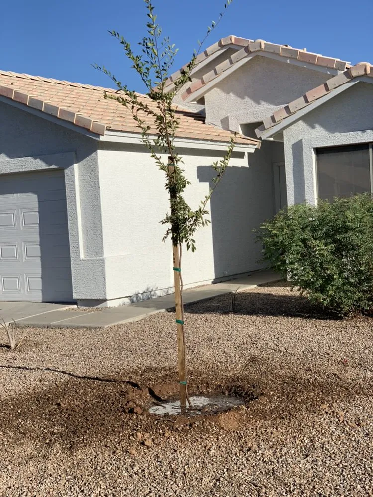 Trusted lawn care service experts serving Mesa, AZ - Garnicas Landscaping