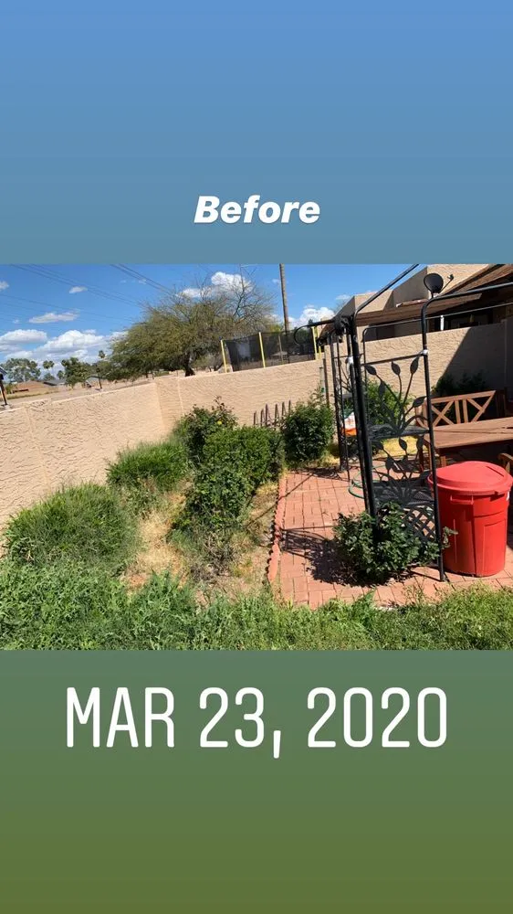 Professional yard maintenance for beautiful yards in Mesa, AZ by Garnicas Landscaping