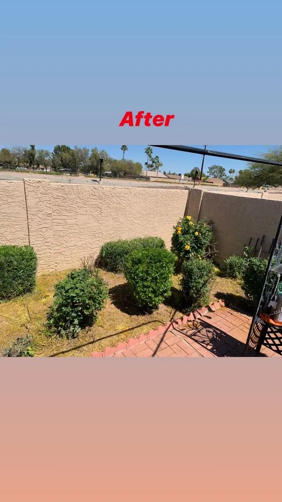 Reliable landscaping services in Mesa, AZ by Garnicas Landscaping