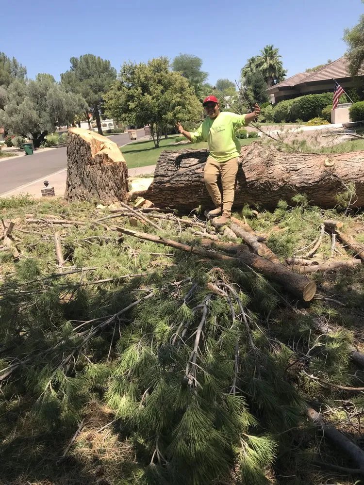 Affordable landscape installation in Mesa, AZ - Garnicas Landscaping