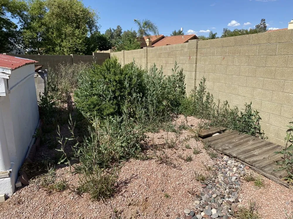 Expert lawn care service experts serving Mesa, AZ - Garnicas Landscaping