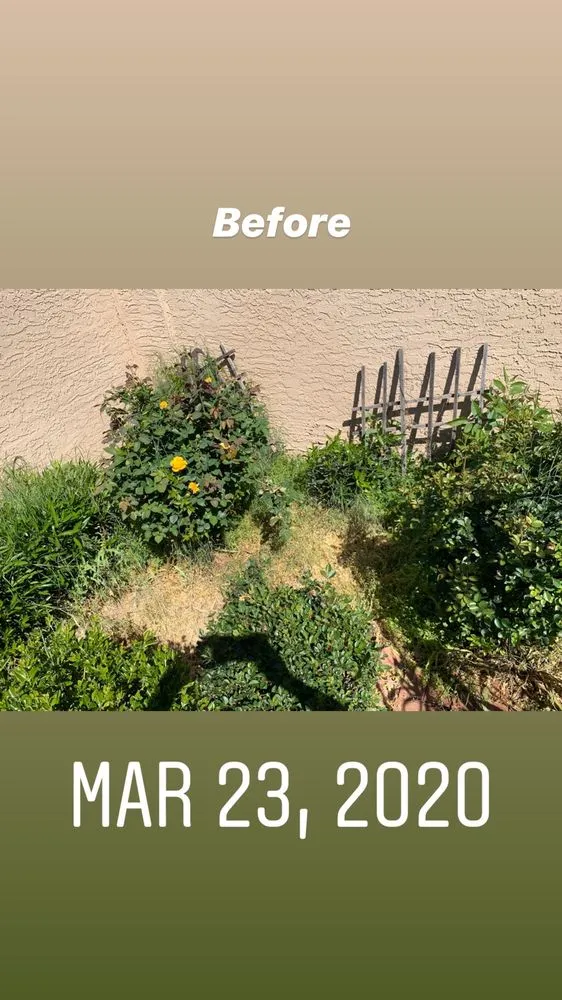 Expert lawn care service for residential properties in Mesa, AZ by Garnicas Landscaping