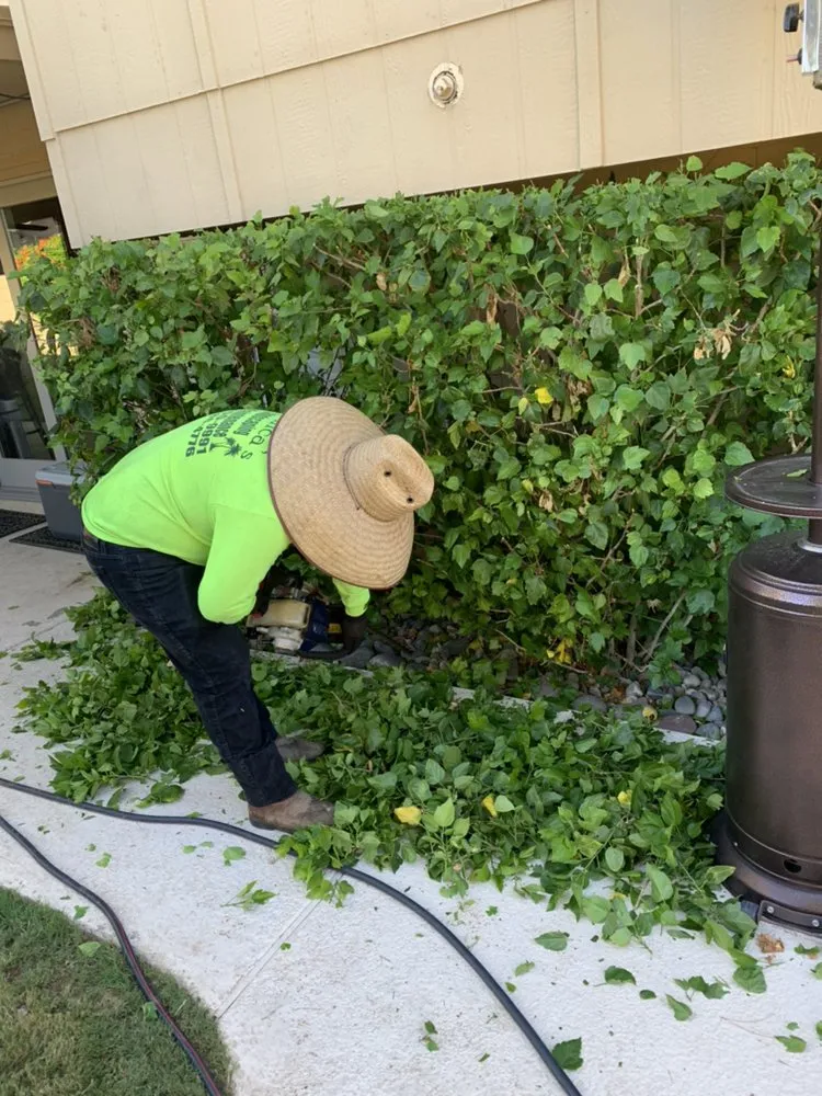 Local yard cleanup service with custom design across Mesa, AZ - Garnicas Landscaping