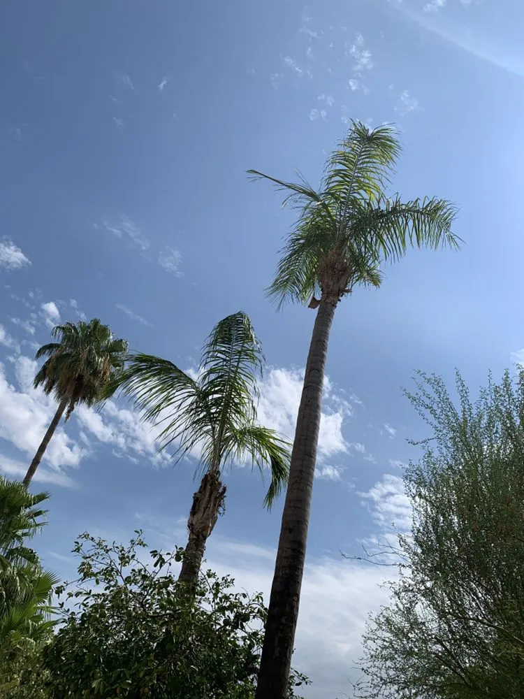 Professional lawn care service experts serving Mesa, AZ - Garnicas Landscaping