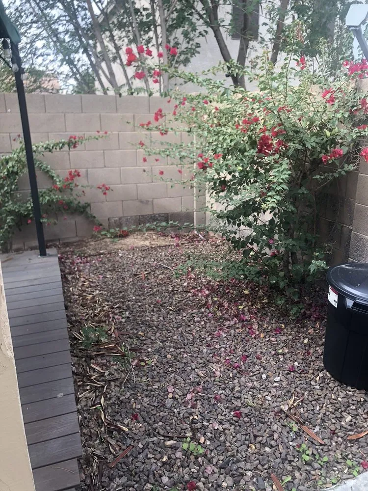 Top-rated landscape installation in Mesa, AZ by Garnicas Landscaping