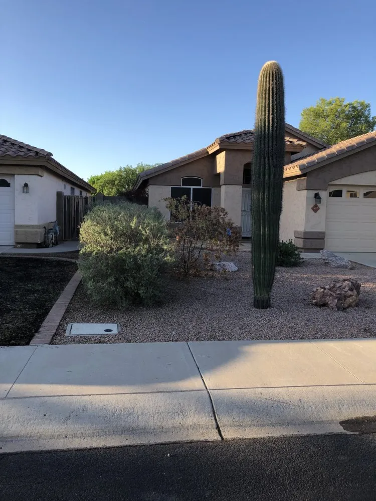 Expert yard cleanup service in Mesa, AZ - Garnicas Landscaping