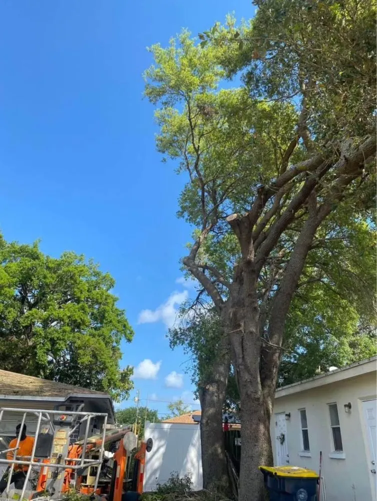 Reliable landscape installation experts serving Davie, FL - Garçon Outdoor Services