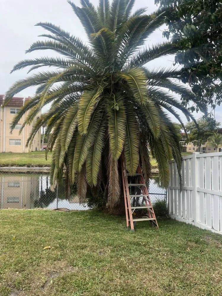 Local garden landscaping experts serving Davie, FL - Garçon Outdoor Services