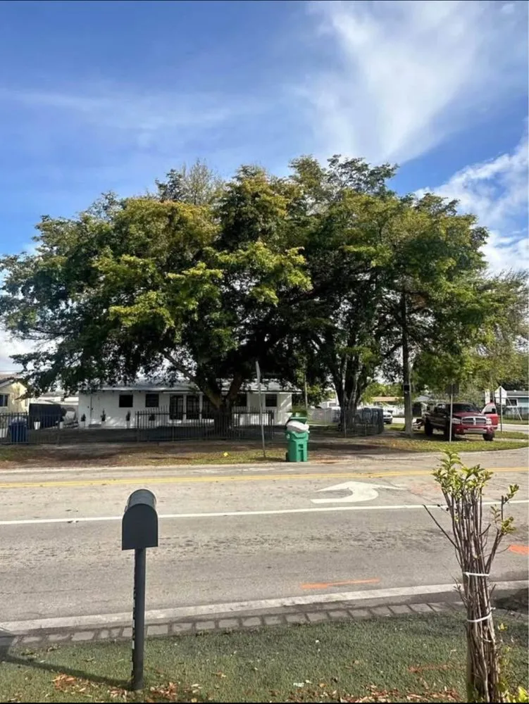 Expert residential landscaping in Davie, FL by Garçon Outdoor Services