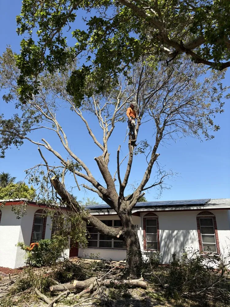 Reliable landscape design in Davie, FL by Garçon Outdoor Services