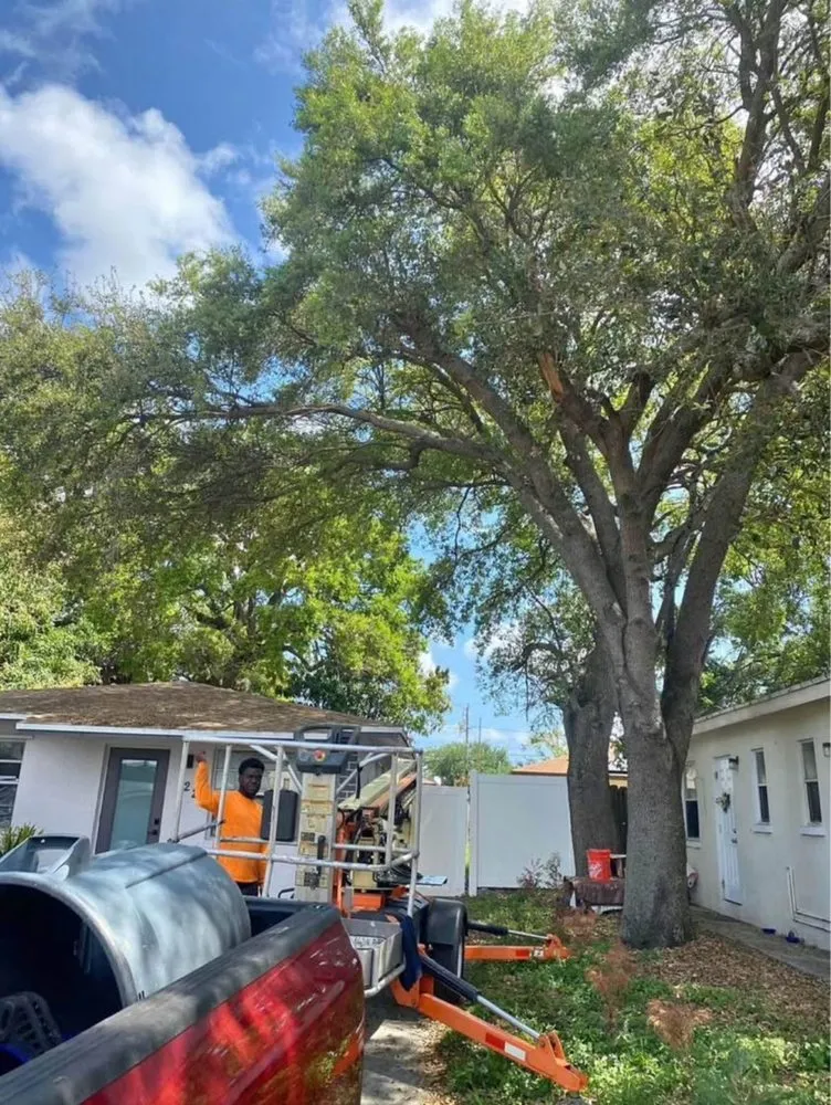 Professional outdoor landscaping experts serving Davie, FL - Garçon Outdoor Services