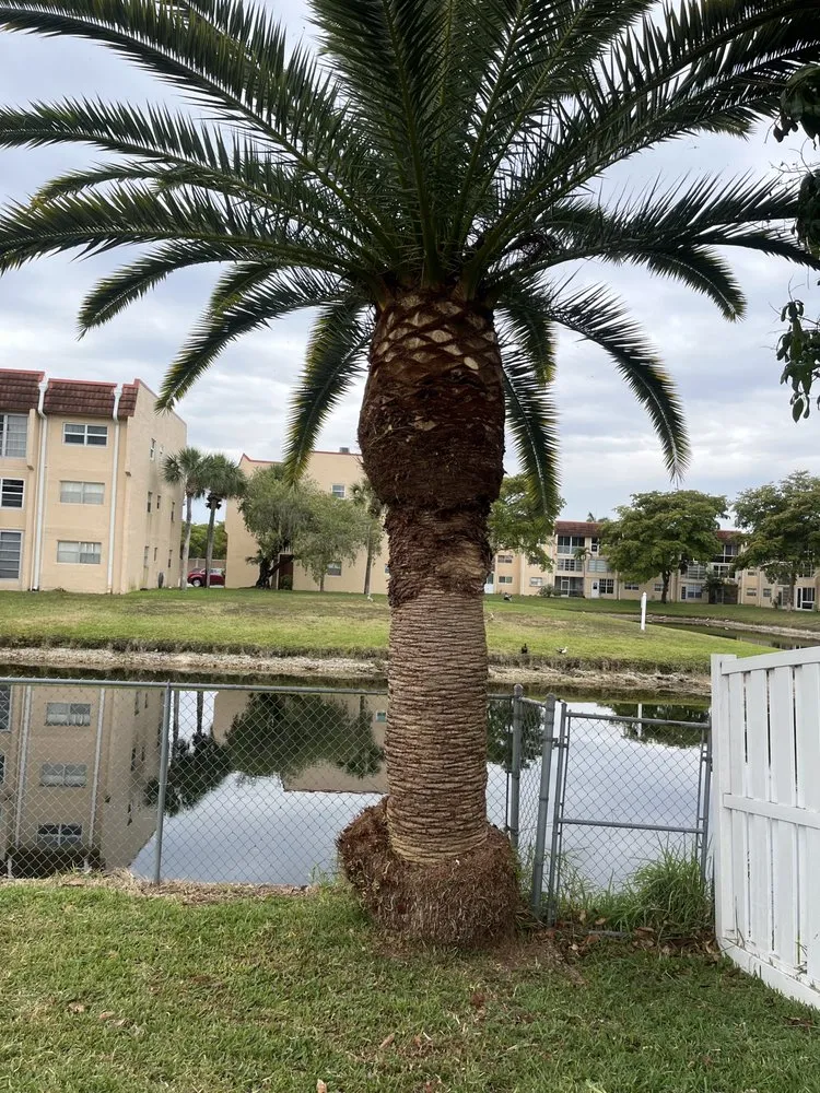 Trusted landscape installation experts serving Davie, FL - Garçon Outdoor Services