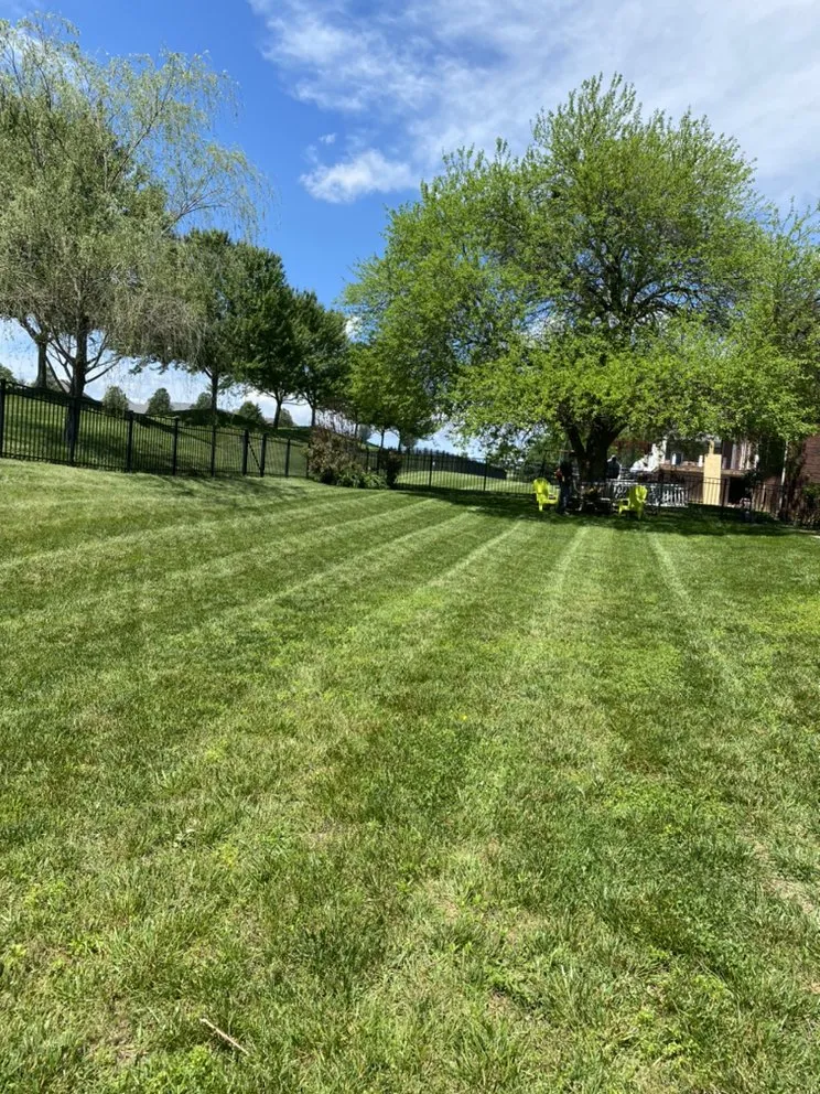 Local landscape design for year-round maintenance across Louisville, KY - Garpetti Outdoor Solutions