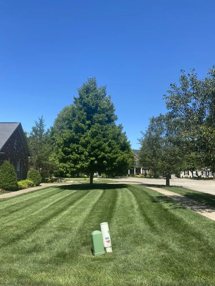 Professional residential landscaping in Louisville, KY - Garpetti Outdoor Solutions