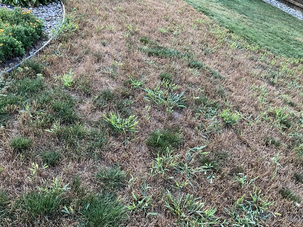 Custom yard cleanup service experts serving Bay City, MI - Garpiel Landscaping