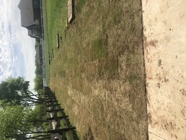 Expert yard maintenance in Grandview, TX by Garrett and Sons Lawn Sprinklers