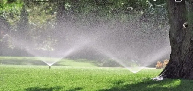 Local residential landscaping for year-round maintenance in Grandview, TX by Garrett and Sons Lawn Sprinklers
