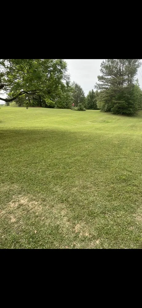 Top-rated lawn mowing service experts serving Mccalla, AL - Garrett Landscaping Specialist