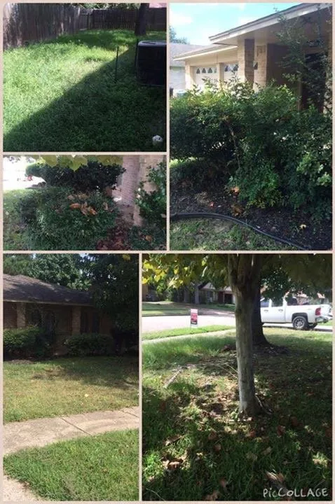 Custom lawn care service for beautiful yards across Atascocita, TX - Garrett Lawn Care