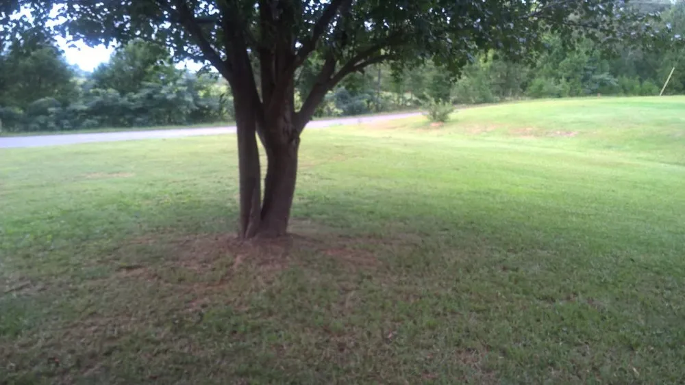 Trusted outdoor landscaping experts serving Childersburg, AL - Garrett Legacy Lawn Care