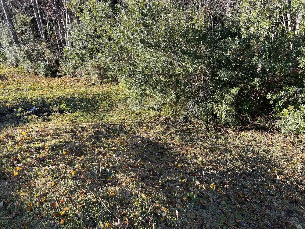 Affordable yard cleanup service with custom design in Middleburg, FL by Garrett Smith's Lawn Services