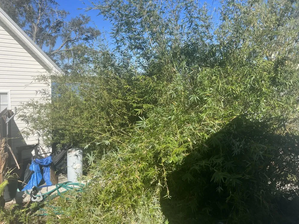 Professional garden landscaping experts serving Middleburg, FL - Garrett Smith's Lawn Services