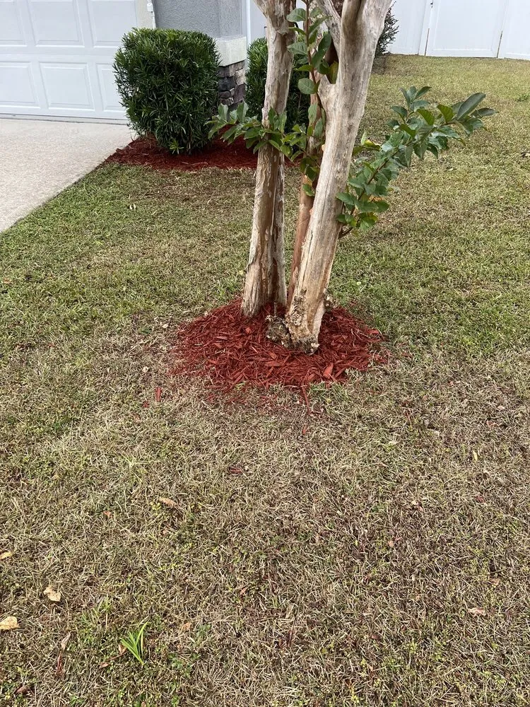 Reliable lawn mowing service with custom design in Middleburg, FL by Garrett Smith's Lawn Services