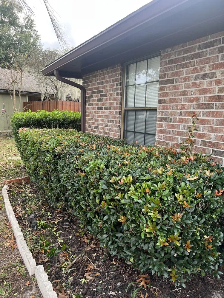 Custom landscape design in Middleburg, FL by Garrett Smith's Lawn Services