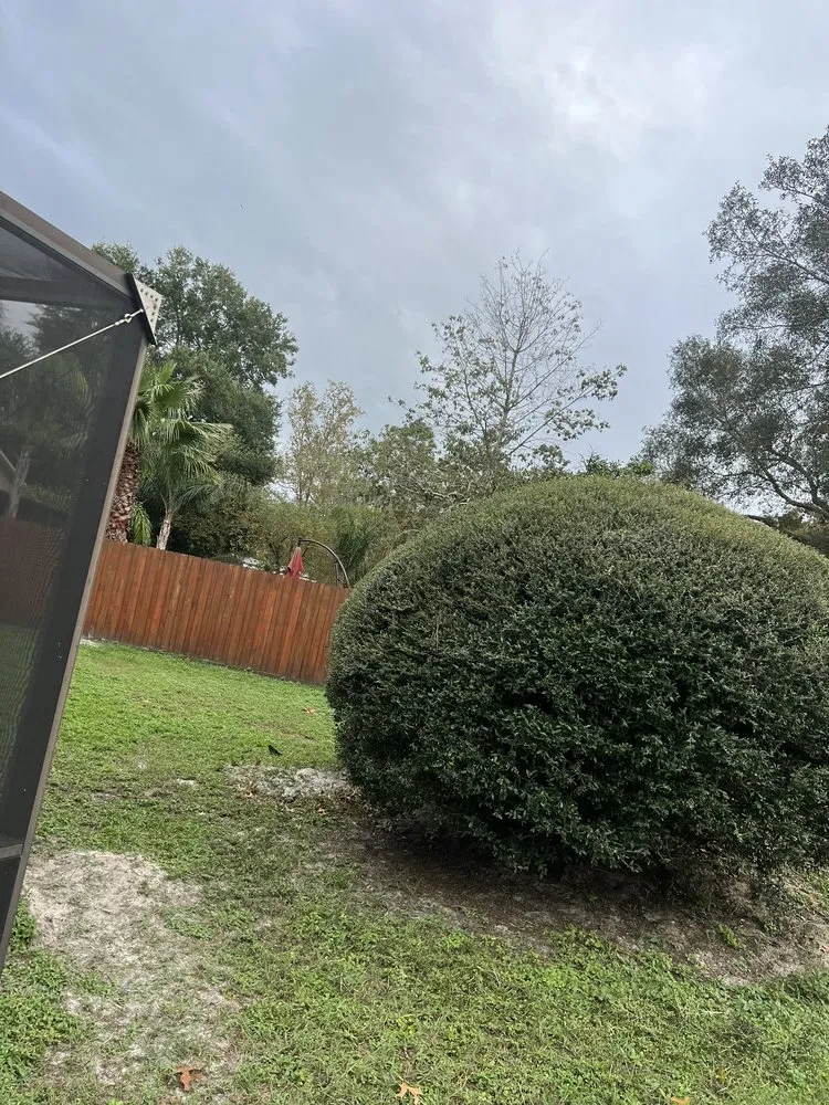 Trusted landscaping services with custom design in Middleburg, FL by Garrett Smith's Lawn Services