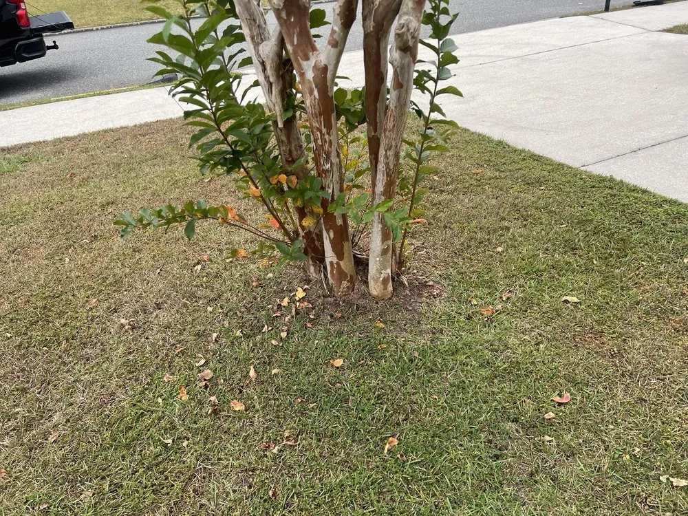 Reliable landscape installation for year-round maintenance across Middleburg, FL - Garrett Smith's Lawn Services