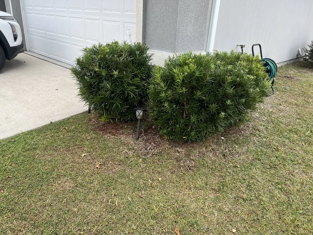 Professional yard cleanup service experts serving Middleburg, FL - Garrett Smith's Lawn Services