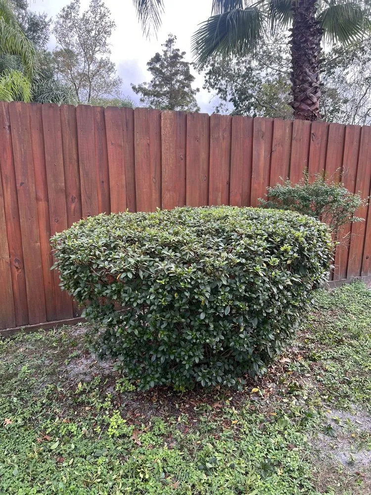 Top-rated yard cleanup service experts serving Middleburg, FL - Garrett Smith's Lawn Services