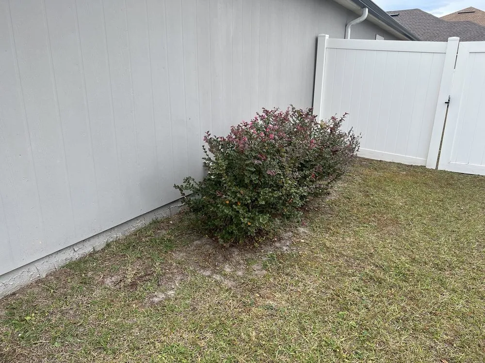 Custom garden landscaping for beautiful yards across Middleburg, FL - Garrett Smith's Lawn Services