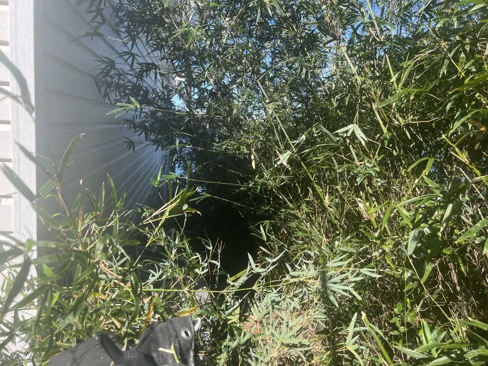 Trusted lawn care service for residential properties in Middleburg, FL by Garrett Smith's Lawn Services