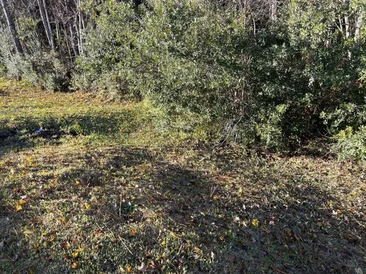 Garrett Smith's Lawn Services Logo