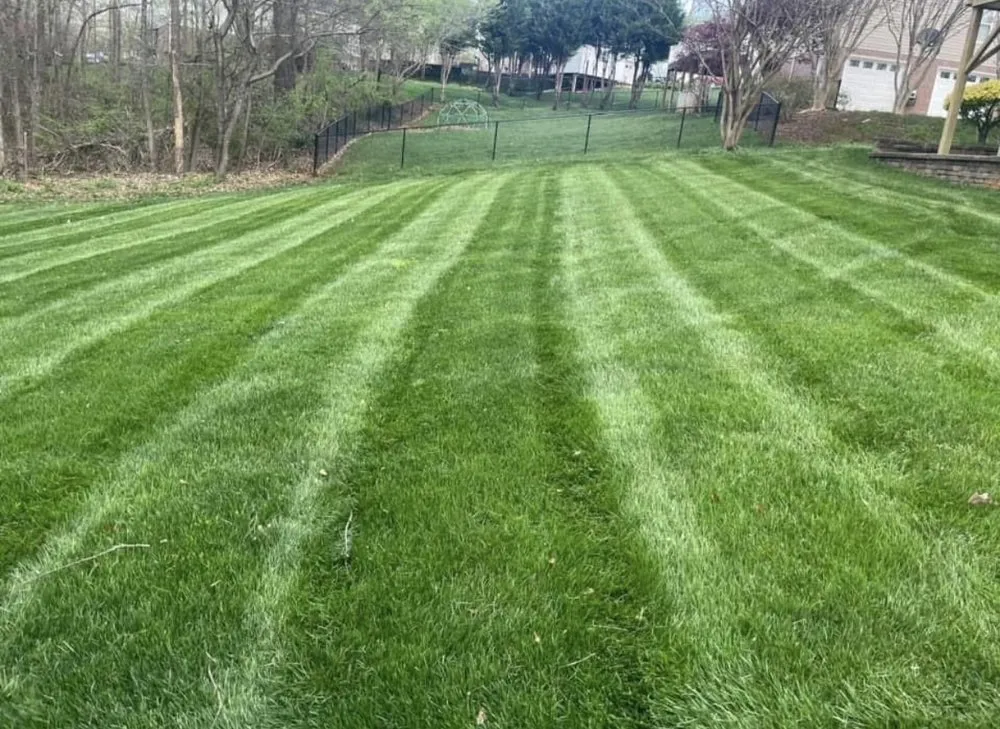 Top-rated garden landscaping experts serving Taylorsville, NC - Garrett’s Landscaping