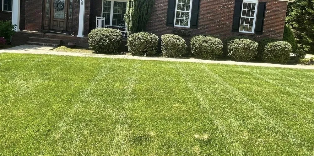 Reliable yard cleanup service in Taylorsville, NC - Garrett’s Landscaping