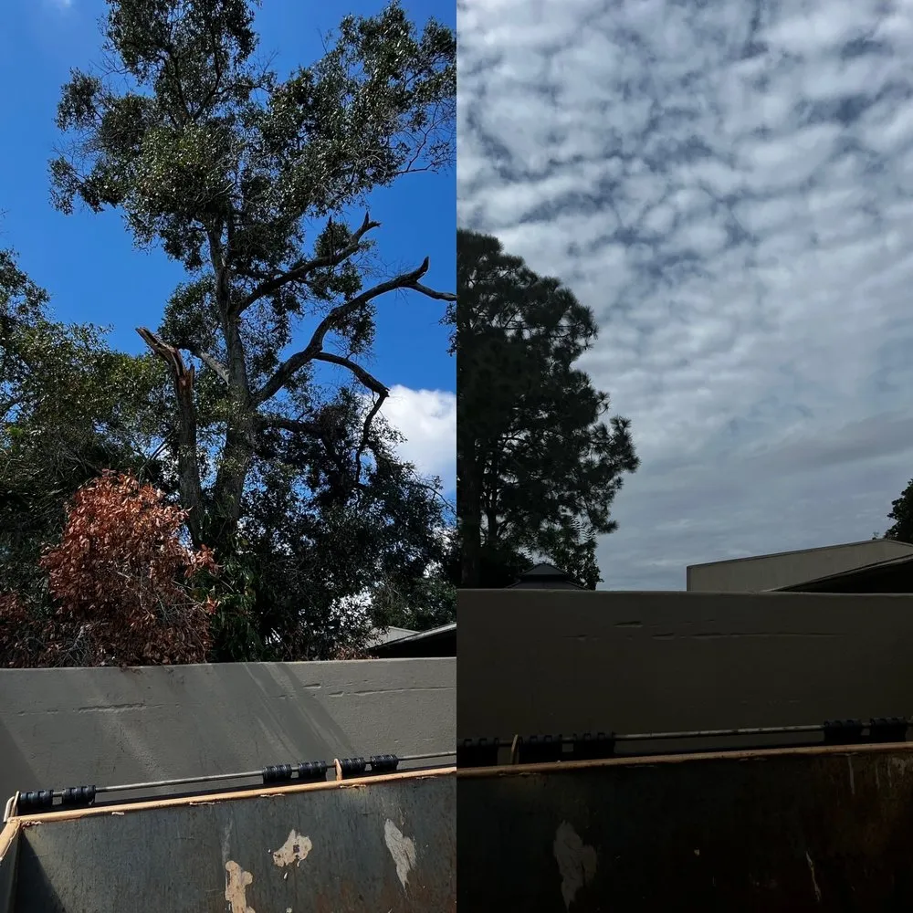 Expert landscaping services experts serving Saint Petersburg, FL - Garrett's Lawn Care & Tree