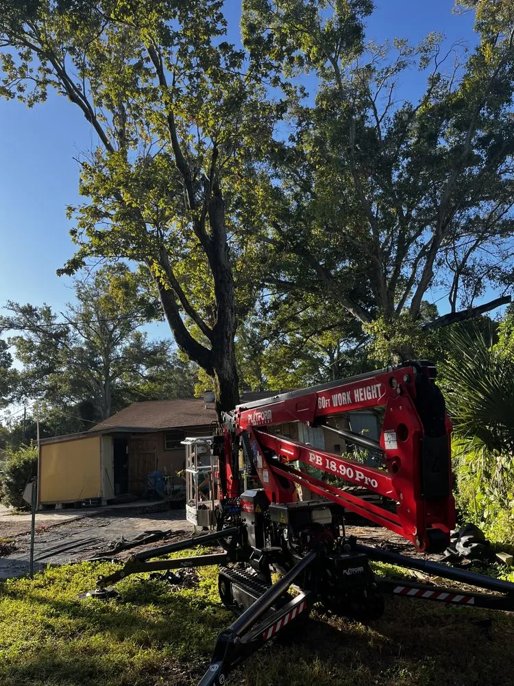 Top-rated yard maintenance in Saint Petersburg, FL by Garrett's Lawn Care & Tree