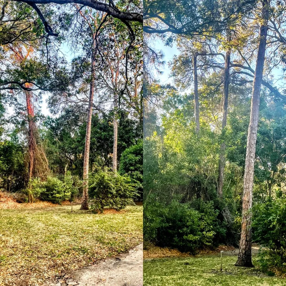 Trusted residential landscaping for homes in Saint Petersburg, FL by Garrett's Lawn Care & Tree