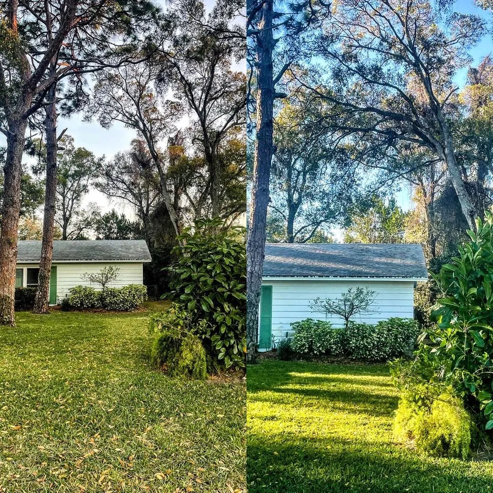 Professional landscape design for year-round maintenance in Saint Petersburg, FL by Garrett's Lawn Care & Tree