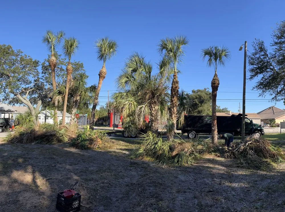 Affordable yard maintenance in Saint Petersburg, FL by Garrett's Lawn Care & Tree