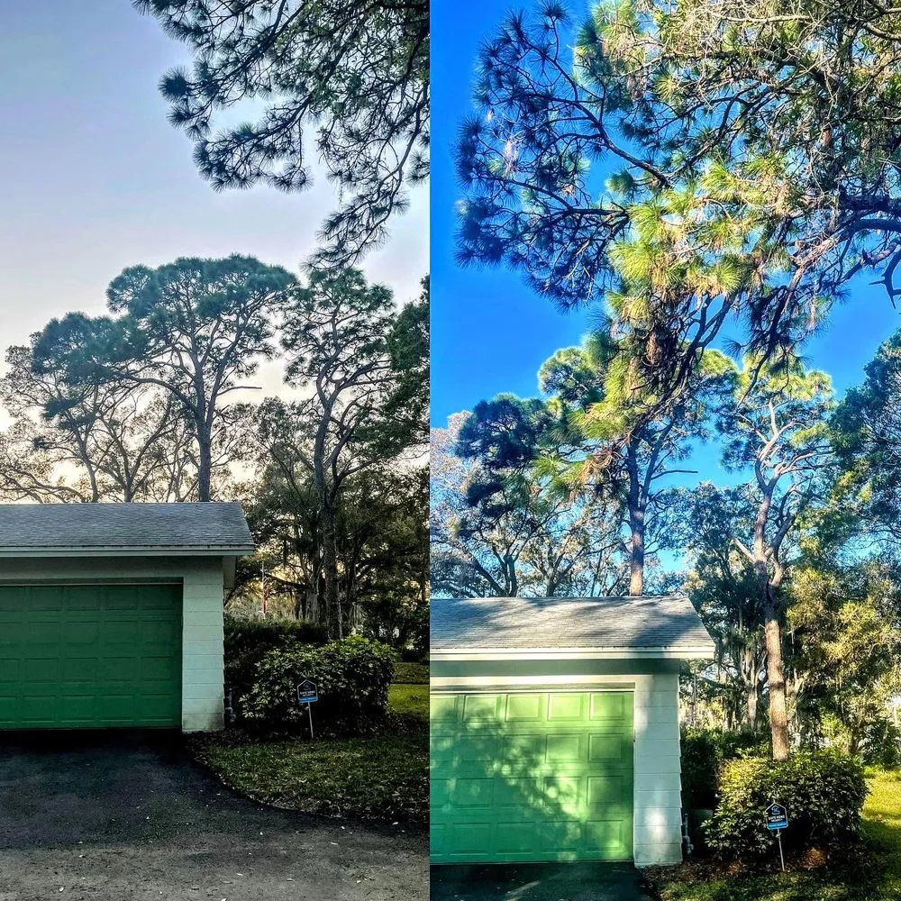 Professional lawn care service experts serving Saint Petersburg, FL - Garrett's Lawn Care & Tree